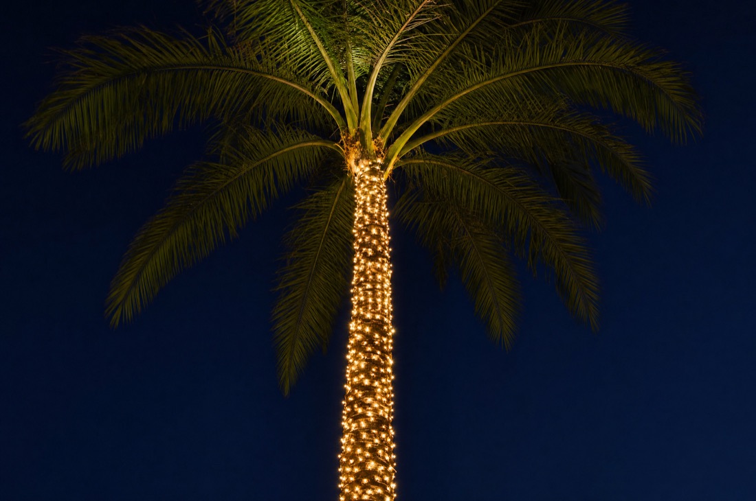 Single palm, tight wrap - design reference