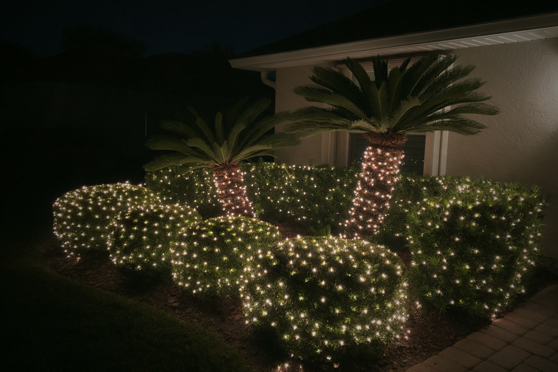 Front bed: Shrub nets and sago palms - Christmas lighting design reference